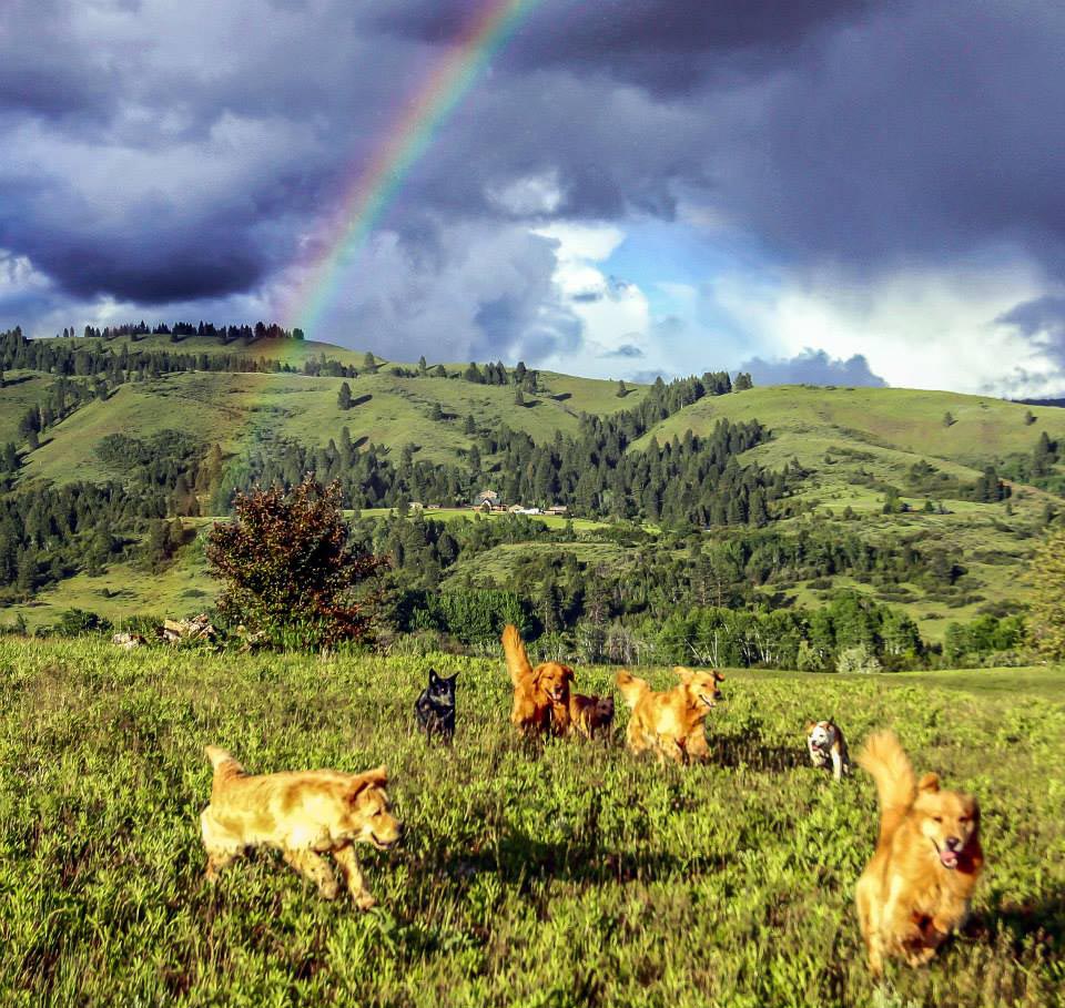 brutus, Sherwood's Sherwood's Don't Preach To The Choir