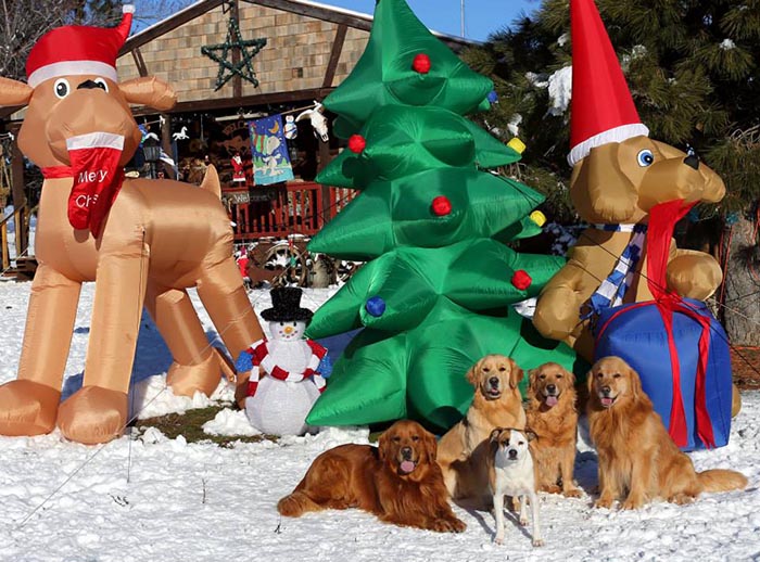 brutus, Sherwood's Sherwood's Don't Preach To The Choir