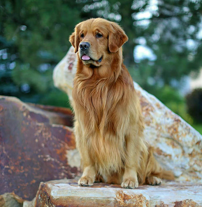 Sherwood's Don't Preach To The Choir