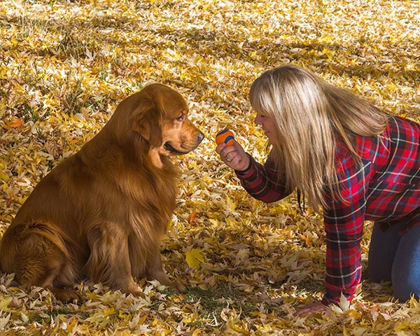 brutus, Sherwood's Sherwood's Don't Preach To The Choir