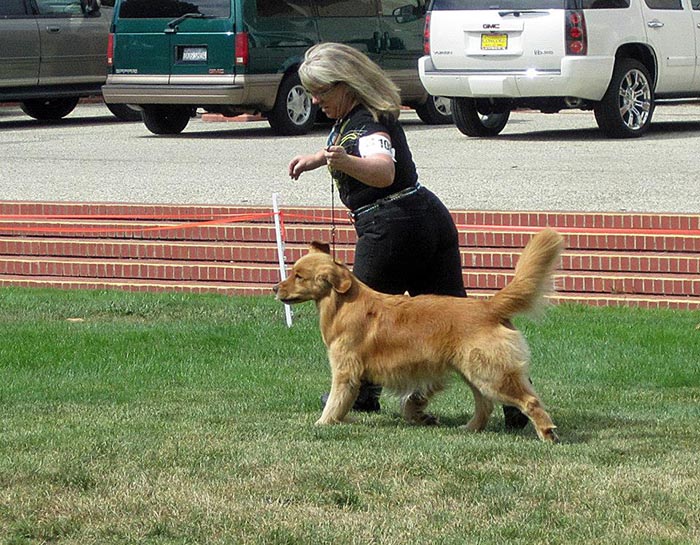 Dapper, Aubridge Sherwood B Stylish