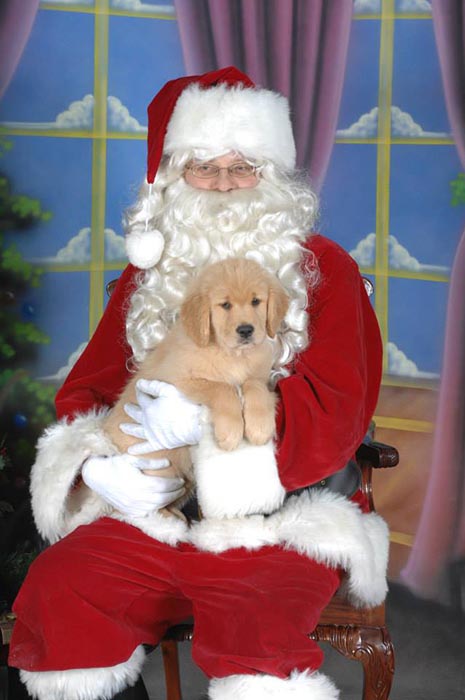 Dapper, Aubridge Sherwood B Stylish