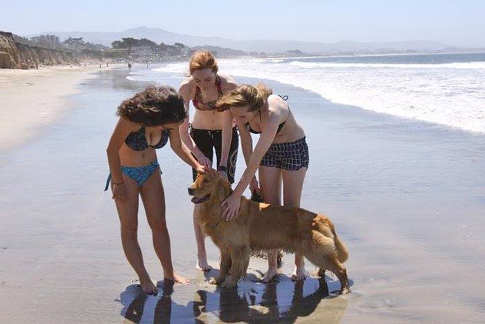 Dapper, Aubridge Sherwood B Stylish