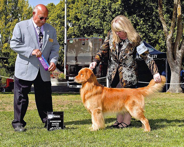 Dapper, Aubridge Sherwood B Stylish