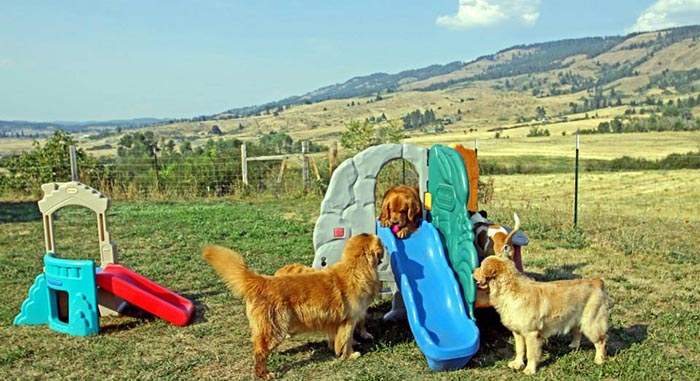 Dapper, Aubridge Sherwood B Stylish