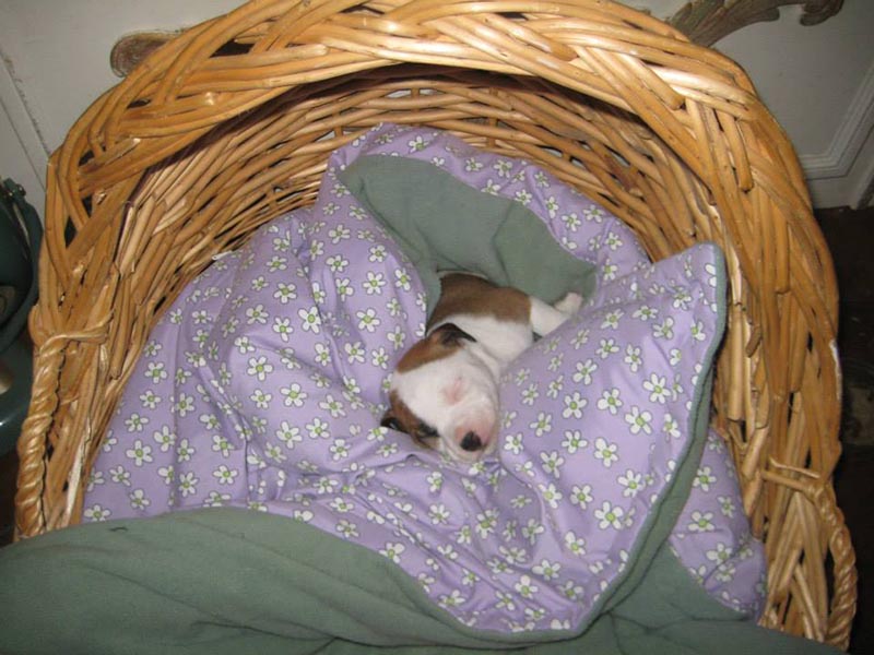 Graci Sherwood's Bulli Bulli