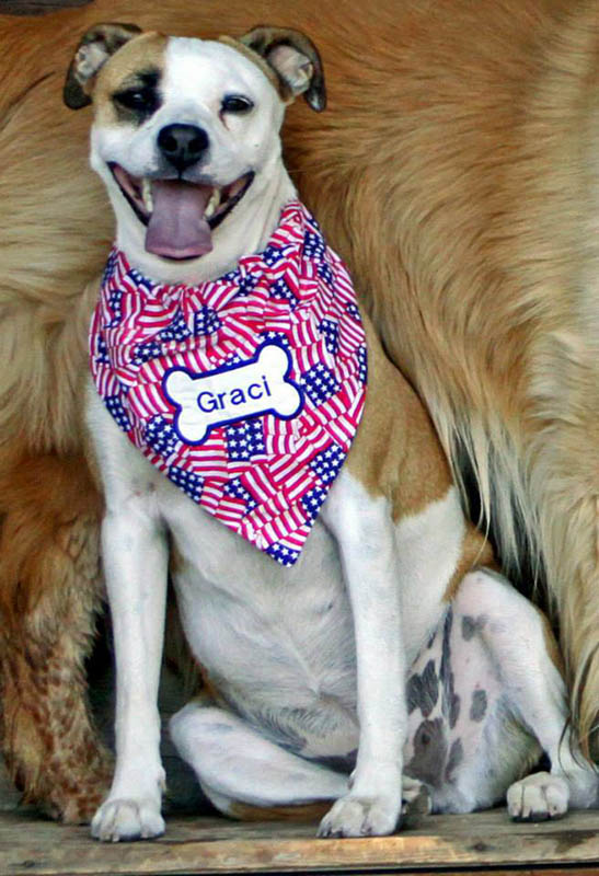 Graci Sherwood's Bulli Bulli