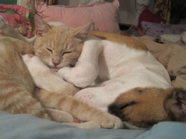 Graci Sherwood's Bulli Bulli