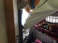 justice for diva rv 5