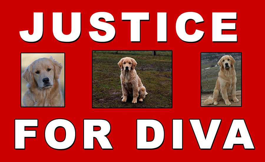 justice for diva