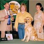 sherwood golden retrievers 