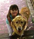 sherwood golden retrievers 