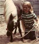 sherwood golden retrievers 