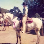 sherwood golden retrievers 