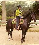 sherwood golden retrievers 