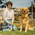 sherwood golden retrievers 