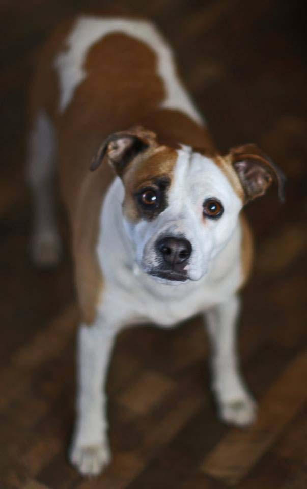 Graci Sherwood's Bulli Bulli