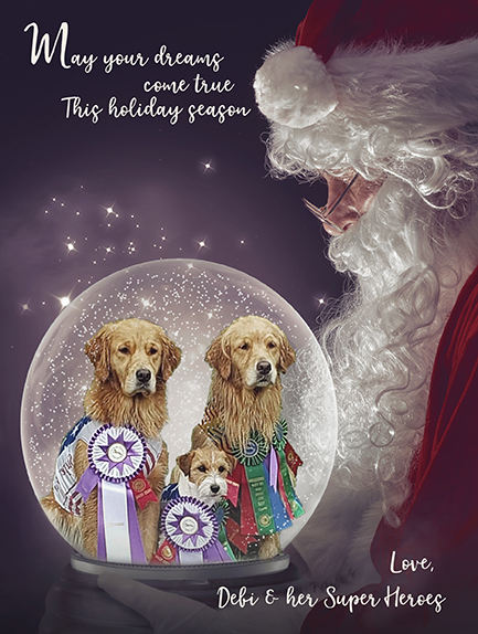 Libby, GCH Foxfield Sherwood's Super Hero FDC BCAT THDN DJA CGCA CGCU TKP