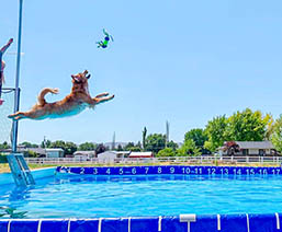 Moose, Sherwood's Super Girl CGC CGCA CGCU TKI DJ DJA