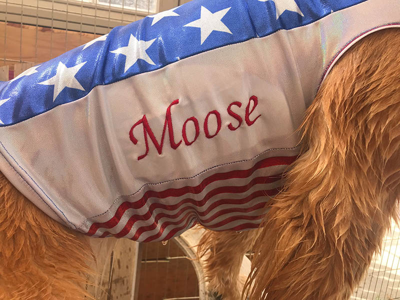 Moose, Sherwood's Super Girl CGC CGCA CGCU TKI DJ DJA