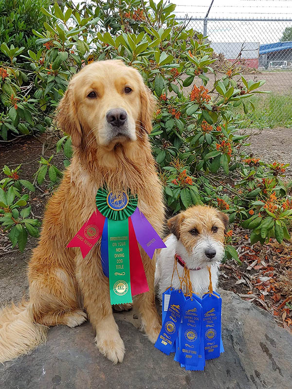 Moose, Sherwood's Super Girl CGC CGCA CGCU TKI DJ DJA