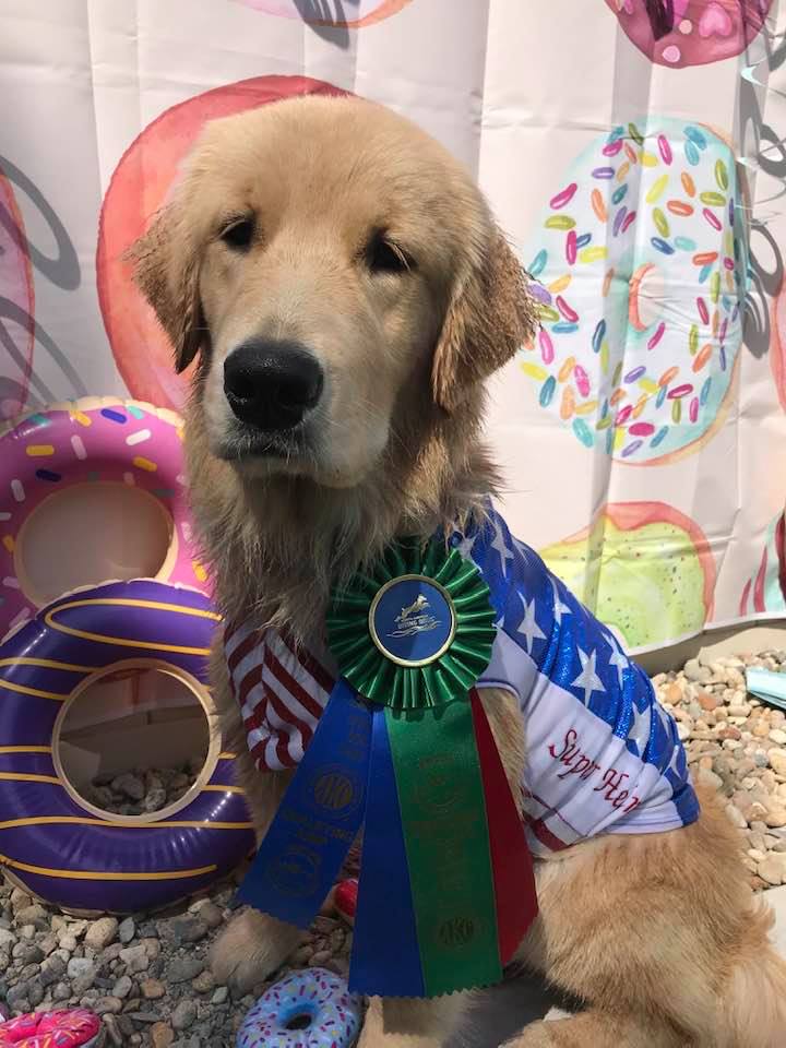 Truffles, Sherwood's GoDiva CGC CGCA CGCU TKN DN DS