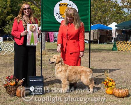 twister, Sherwood's Super Powers Unleashed