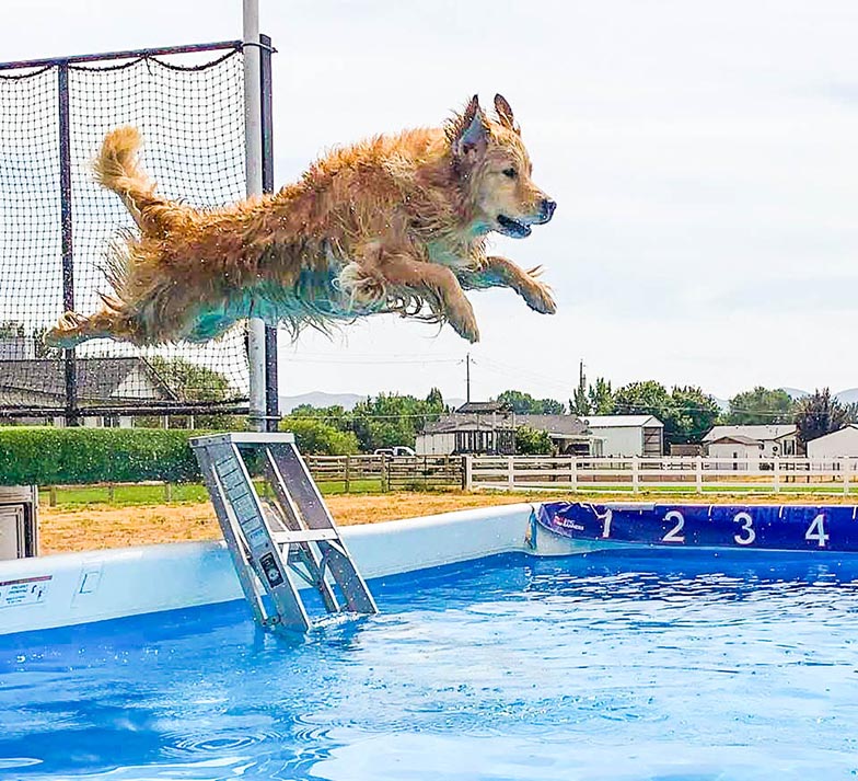 twister, Sherwood's Super Powers Unleashed
