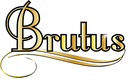 brutus, Sherwood's Don't Preach To The Choir, sherwood golden retrievers