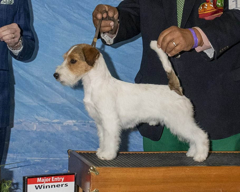 rolex, GCH Sherwood's The Crown Jewels FDC CGC CGCA CGCU TKI 