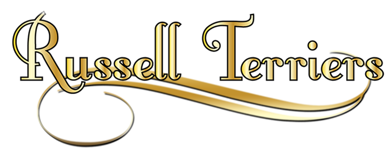 our terriers at sherwood russell terriers