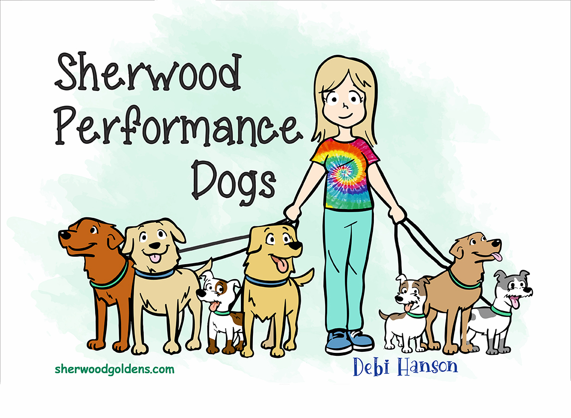 sherwood golden retrievers and russell terriers