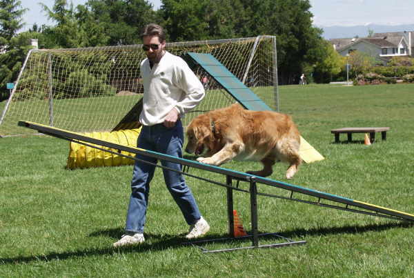 Tiger,  CH Sherwood's Let's Play A Round CD NA NAJ